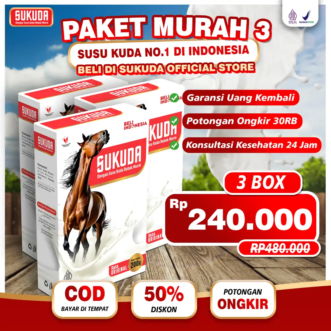 paket-3