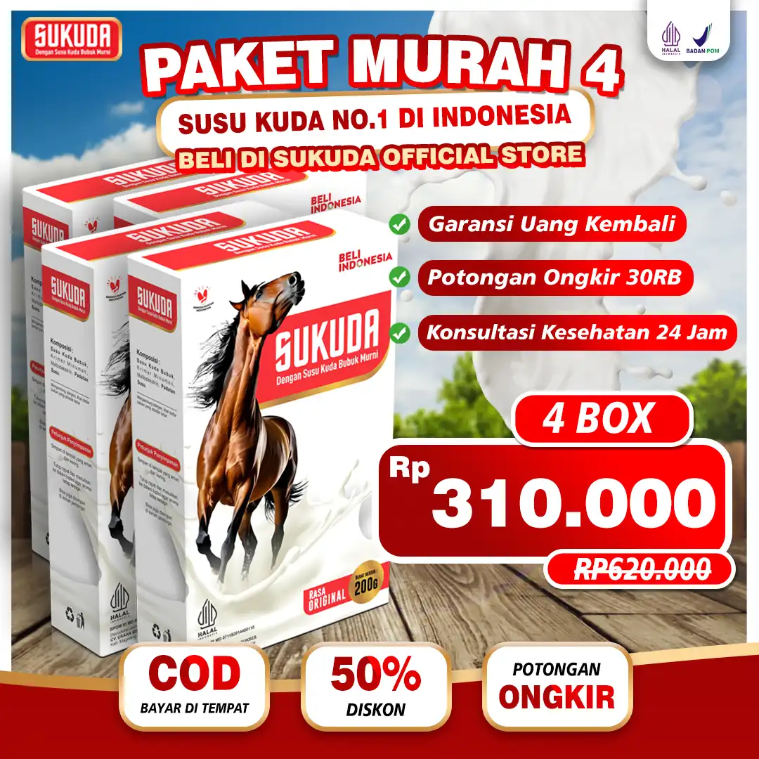 paket-4