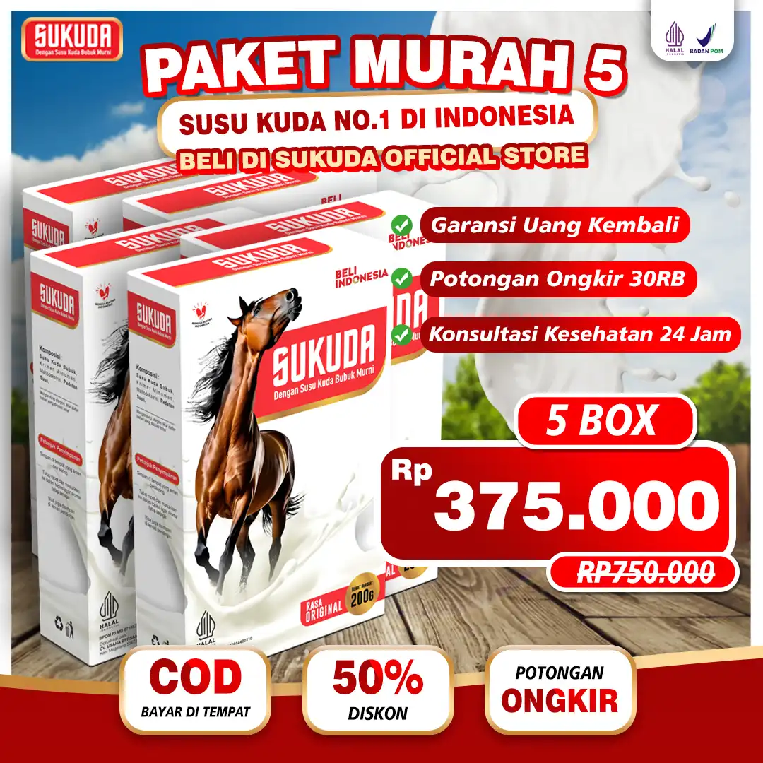 paket-5